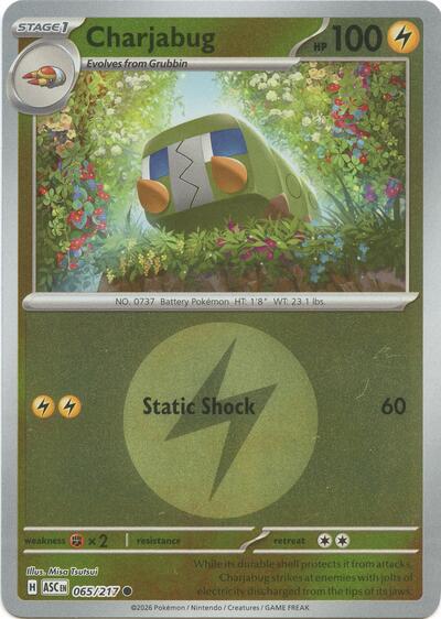 Charjabug (Energy Symbol Pattern) ME: Ascended Heroes 065/217 Common Reverse Holofoil